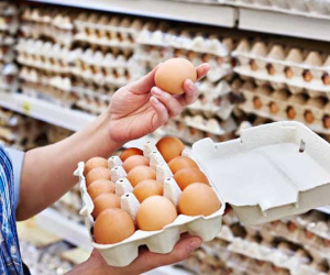 Giải mã hiện tượng trứng gà tăng giá kỷ lục, thương lái tranh nhau mua giữa tâm dịch