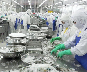 Xuất khẩu thủy sản, khó tứ bề