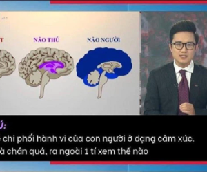Dân mạng tranh cãi về bản tin ví von 'não người' - 'não thú' của VTV: Đúng tinh thần nhưng sai cách thể hiện