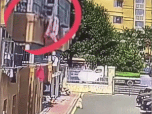 Bé trai thoát chết khi chậu hoa rơi xuống, bố mẹ lạnh người phát hiện không phải tai nạn, video ghi lại hành động của hung thủ gây phẫn nộ