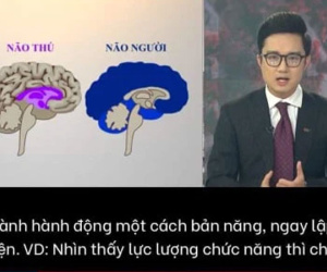 Giữa biến 'não thú' của VTV, MC Trần Ngọc công khai bảo vệ BTV Sơn Lâm: 'Tôi không thích các thành phần ốc chô'