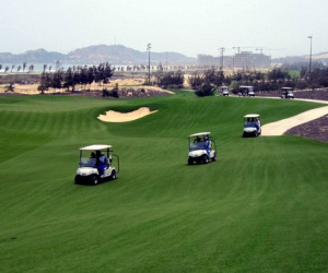 Chơi golf 'lậu' giữa mùa dịch, giám đốc sở, cục phó và 2 'đại gia' ở Bình Định thành F1