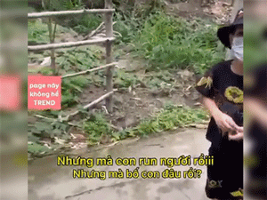 Bố dắt con đi chơi nhưng quên khẩu trang liền giở chiêu 'tốc biến', biểu cảm của cậu bé bị 'bỏ rơi' khiến dân mạng vừa thương vừa buồn cười