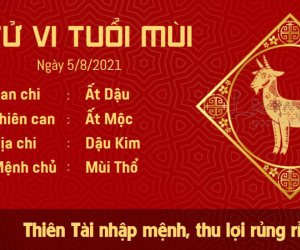 Tử vi thứ 5 ngày 05/08/2021 của 12 con giáp: Tý phá tài, Mùi tiền thu rủng rỉnh