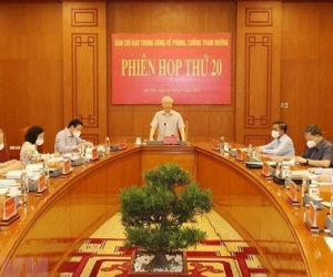Ảnh minh họa