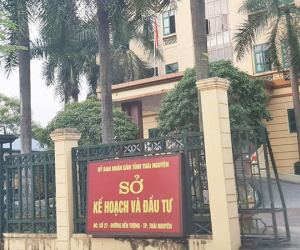 Ảnh minh họa