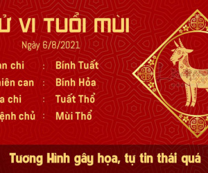 Tử vi thứ 6 ngày 06/08/2021 của 12 con giáp: Sửu mâu thuẫn với cấp trên, Tý thăng quan