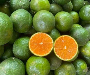 Loại quả giàu vitamin C bán đắt như tôm tươi mùa dịch, giá tăng gấp đôi, khách đặt mua mấy lần đều 'hụt'