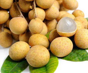 Nhãn cất tủ lạnh ngon, mát nhưng dễ khiến nhiều người mắc sai lầm khi ăn gây hại sức khỏe