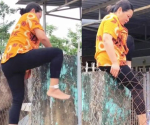 Cả nhà bận đi cách ly, cô hàng xóm trèo tường vượt rào sang cho gà, lợn ăn, trước khi về còn làm một việc khiến ai cũng xúc động