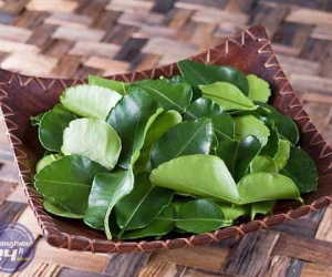 Lá chanh ở Việt Nam mọc đầy vườn, xin đâu cũng có nhưng mang sang nước ngoài bán 6,35 triệu đồng/kg