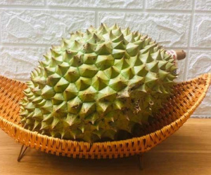Sầu riêng ở Đắk Lắk chỉ 8.000 đồng/kg và sự thật gây bất ngờ phía sau