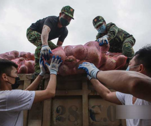 CẬN CẢNH: 300 tấn nhu yếu phẩm từ tấm lòng của bà con Hòa Bình lên tàu vào chia lửa cùng TP.HCM chống dịch