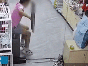 Bé gái cố tình dùng cửa kính kẹp chết chú mèo con ở cửa hàng thú cưng, lời bao biện từ phía gia đình khiến dân tình giận sôi máu