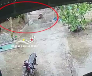Kinh hoàng khoảnh khắc sét đánh 'cháy đất', tóe lửa, người đàn ông đứng cách 3m vẫn bị ảnh hưởng, may mắn thoát chết
