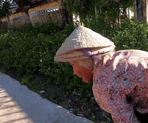 Nhất quyết không nhận 200 nghìn thanh niên lạ mặt cho, thân thế thật của bà cụ bán ve chai khiến ai cũng choáng