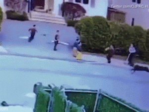 Clip: Bé trai bị chó Pitbull tấn công dã man giữa phố