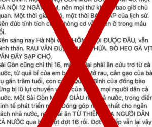 Người phụ nữ viết status 'Sài Gòn ăn từ thiện cả nước' bị phạt 5 triệu đồng