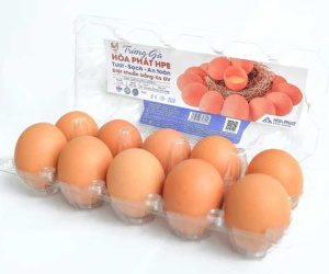 Vua thép Hòa Phát 'dội bom trứng gà' xuống Hà Nội