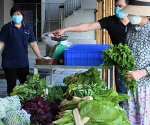 Ảnh: Người dân Đà Nẵng phấn khởi mua thực phẩm tại điểm bán hàng lưu động bình ổn giá