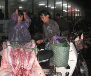 Hà Nội tìm người đã đến hoặc liên quan lò mổ Minh Hiền sau khi bảo vệ và người mua hàng dương tính với SARS-CoV-2