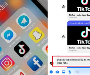 Người dùng kêu gào vì Facebook 'thẳng tay' với TikTok, chặn xem video khi gửi link TikTok qua Messenger?
