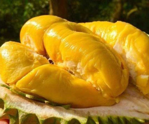 Một mùa ế và lỗ: Thanh long 4 nghìn, na 15 nghìn, cá hồi 120 ngàn/kg