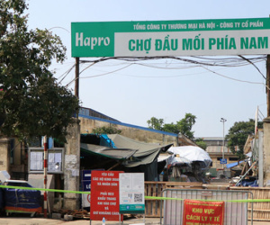 Ảnh minh họa