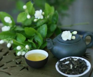 Loại hoa phổ biến, giá bình dân, mang đi pha trà uống có tác dụng chống lão hóa cực mạnh nhưng lại ít người dùng