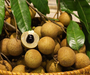 Ăn nhãn chữa mất ngủ, tăng tuổi thọ, đẹp da... nhưng có những đối tượng cần hạn chế, người khỏe mạnh bình thường cũng có lưu ý riêng!