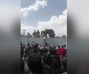 Sự thật phía sau hình ảnh 'ném con cho lính Mỹ qua hàng rào thép gai' ở Afghanistan khiến dư luận xót xa