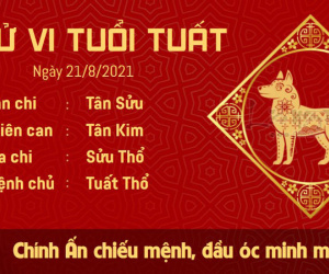 Tử vi thứ 7 ngày 21/08/2021 của 12 con giáp: Dần có lộc, Thìn công việc gặp trục trặc