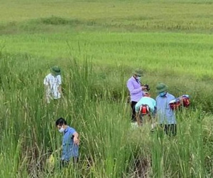 Cà Mau: Liên tiếp xảy ra 2 vụ giết người gây rúng động