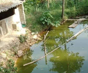 Bố mẹ ngã quỵ khi phát hiện thi thể con trai 2 tuổi nổi dưới ao cá