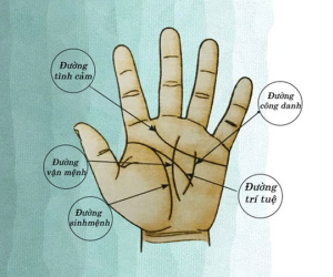 Sự thật về đường chỉ tay hình chữ M: Ai sở hữu cũng sẽ giàu có và thành công?