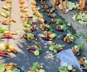 Chia rau củ đến từng nhà, người dân Đà Nẵng nhận được nhiều lời khen từ dân mạng