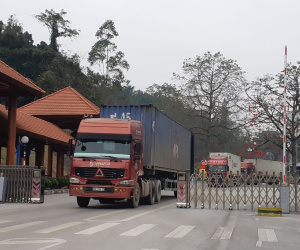 Trung Quốc ngưng nhập trái cây Việt trong khi đưa đều đặn 400 xe/ngày sang Việt Nam