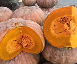 Ăn bí đỏ cần tránh 5 điều này để không gây hại sức khỏe