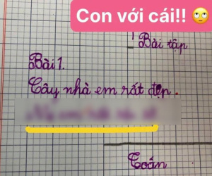 Học sinh đặt câu về mẹ, chỉ chêm vào 2 từ mà ai đọc đều lo cậu bé sẽ ăn no đòn
