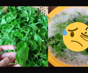 Chồng hỏi 'sao em lại rửa rau với xà phòng', cô vợ bật cười rồi tiết lộ sự thật khiến dân mạng cũng há hốc mồm kinh ngạc