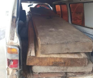 Vụ 'Chủ tịch xã bắt gỗ lậu về biếu cán bộ': 80 lóng gỗ về vườn Phó chủ tịch huyện