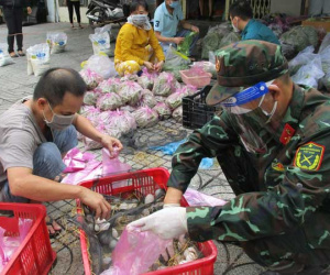 Điều chỉnh combo 'đi chợ hộ'