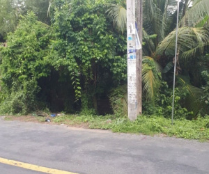 Một cán bộ trực chốt kiểm soát dịch bệnh bị tai nạn tử vong ở Tiền Giang