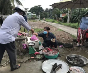 TP.HCM: Người dân một hẻm ở Bình Tân vô tư họp chợ giữa tâm dịch