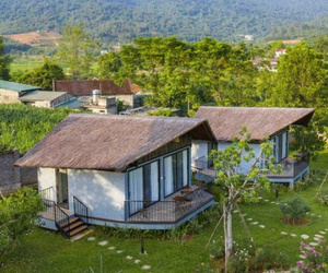Đầu tư farmstay: Cuộc chơi của 'đại gia' tiền tỷ