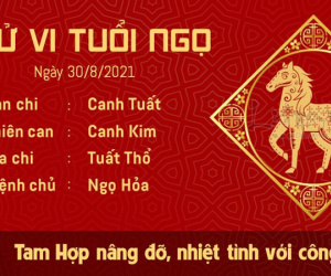 Tử vi thứ 2 ngày 30/08/2021 của 12 con giáp: Thìn chớ kiêu ngạo, Dậu xã giao thuận lợi