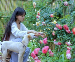 'Tiên nữ đồng quê' Lý Tử Thất tuyên bố tạm dừng hoạt động YouTube, lý do được đưa ra khiến dân mạng ngỡ ngàng