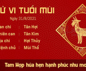 Tử vi thứ 3 ngày 31/08/2021 của 12 con giáp: Hợi khó khăn, Mão tình cảm tốt đẹp