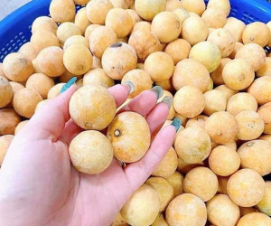 Đặc sản Hà Nội ngày cuối mùa, khách tranh mua ăn dè đến sang năm