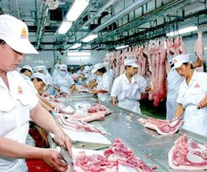 Nguy cơ thiếu nguồn cung thịt đến Tết nguyên đán 2022 nếu dịch bệnh kéo dài